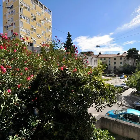 Sunny Center Apartment