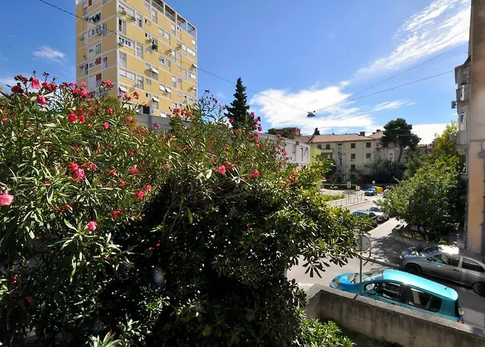 Sunny Center Apartment